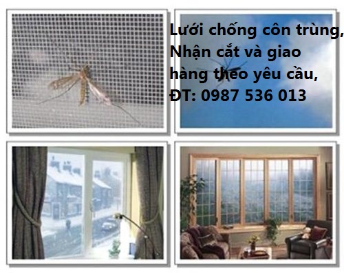 lưới inox chống muỗi THĂNG LONG mắt nhỏ 20 mesh